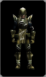 Warrior Leather Set