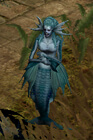 Siren