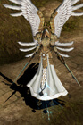 Phoenix of Darkness