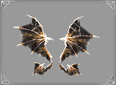 Wings of Storm